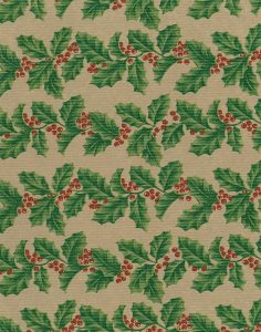 AVANA PAPIER 0,70×10 m 55 g/m2 CEZMÍNA