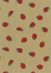 AVANA PAPIER 0,70x10 m 55 g/m2 LIENKY