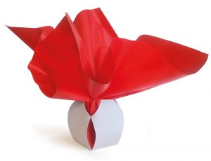BULLE BOX red/red 45x45 cm, zložitelné vodné balenie
