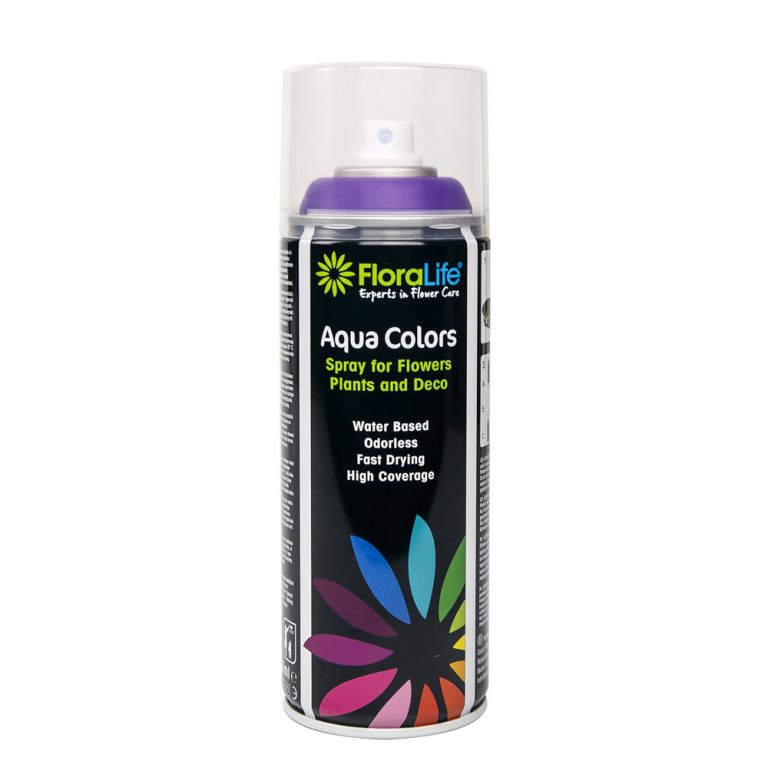 OASIS<sup>®</sup> AQUA COLOR spray 400 ml Violet