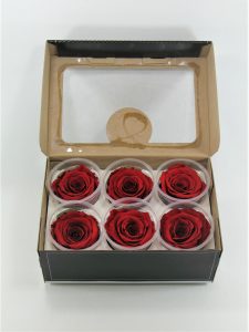 XL- XL RED 5,5x6cm XL- XL RED 5