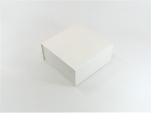 LUX BOX LEATHER WHITE 15