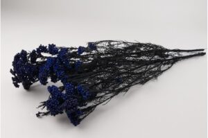 STABILIZOVANÉ DIOSMI/RICE FLOWER ROYAL BLUE 40-50 CM