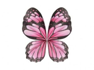 BUTTERFLY PAPER PINK 50/56 CM