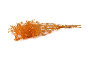 STABILIZOVANÁ GYPSOPHILA BALL ORANGE 60-70 CM