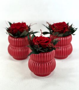 STABILIZOVANÝ ARANŽMÁN 