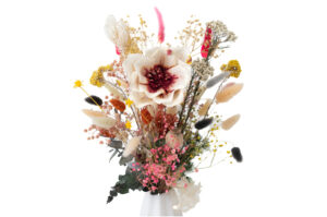 SOLA MAGNOLIA WHITE-RED 13 CM