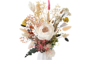 SOLA WILD PEONY WHITE/CREAM 10 CM
