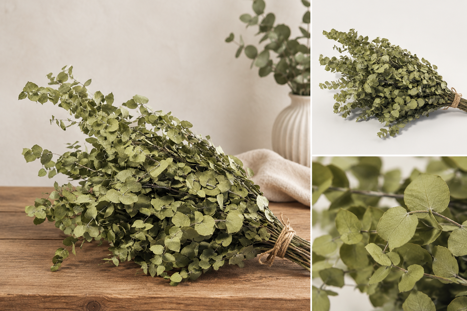 STABILIZOVANÝ EUCALYPTUS STUARTIANA GREEN 150G
